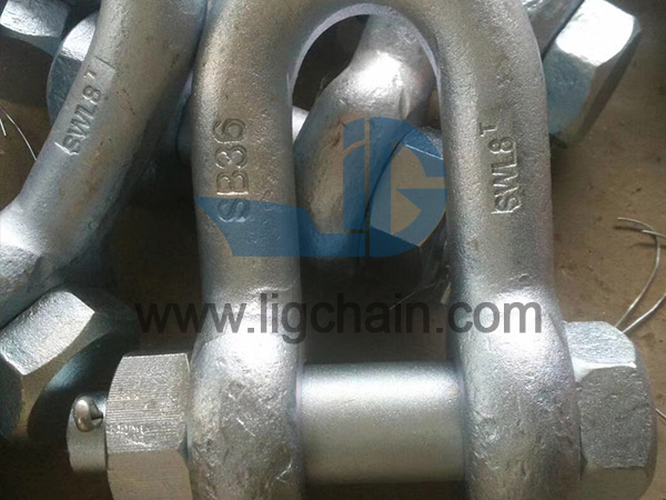 D Type GB559 Ship Shackle 